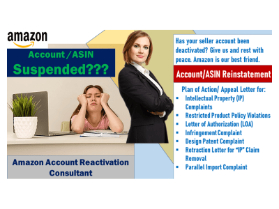 Infringement/intellectual property (IP) complaint removed from your account