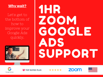 LIVE 1 HR GOOGLE ADS AUDIT