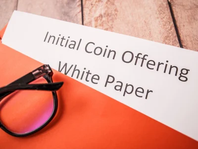 Get a professional, and well written White Paper