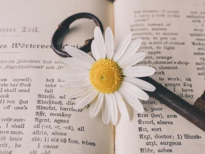 Transcription of a webinar in English