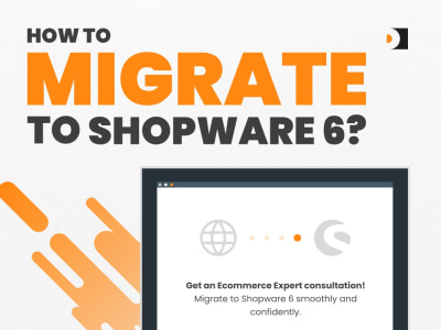 E-commerce Migration to Shopware 6 with Shopware Developer Consultation