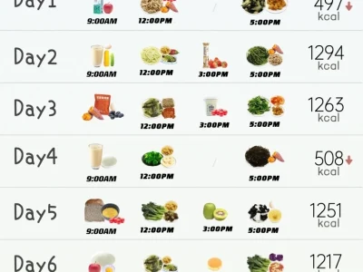 A 100% customized weight loss meal plan and workout plans