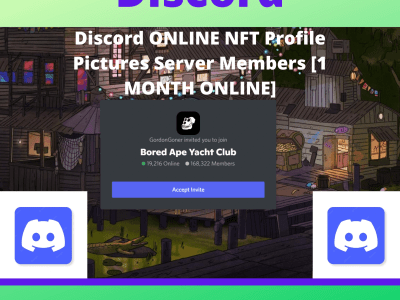 NFT Service Discord online member 24/7 online duration 1/3 month online
