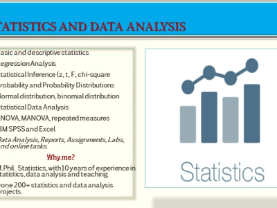 High-quality assistance in statistics concepts and problem-solving
