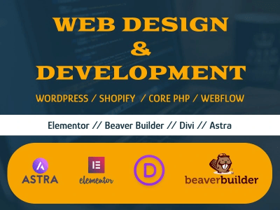 Professional website design and development