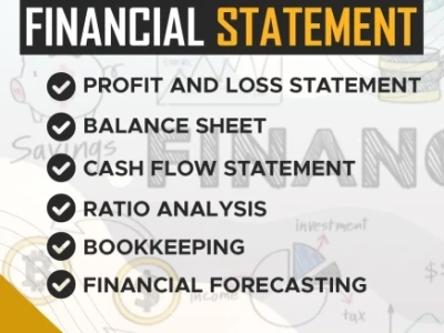 Profit and loss statement, balance sheet, financial statements/projections