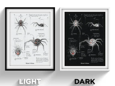A fantastic anatomy sketch poster design.