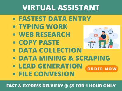Specialist in fastest data entry, web research, typing work & copy paste