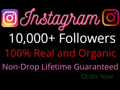 Organic Instagram Followers | 10k Followers & 1k Likes For Your Instagram