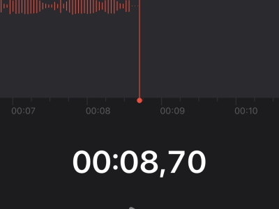 The best translation and/or recording in Portuguese native speaker