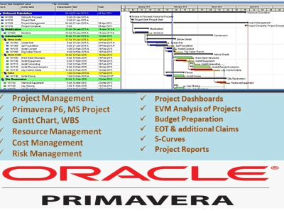 Project Schedule through Primavera P6 or MS Project 24x7 from Certified PMP