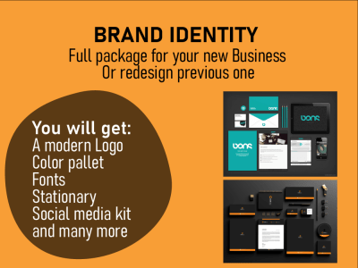 Professional logo and Brand identity kit for your business