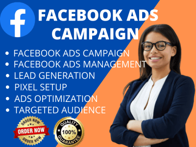 A Successful Facebook Ads Campaign set up for your business | Upwork