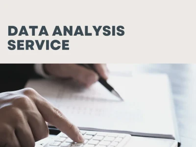 Professional Data Analyst Assistant on SPSS