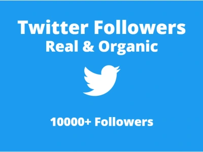 Organic Twitter Followers | 7000 Followers & 700 Likes For Your Twitter