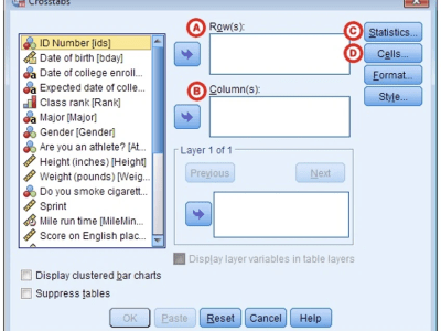 SPSS Tutoring and Statistical Analysis Interpretation