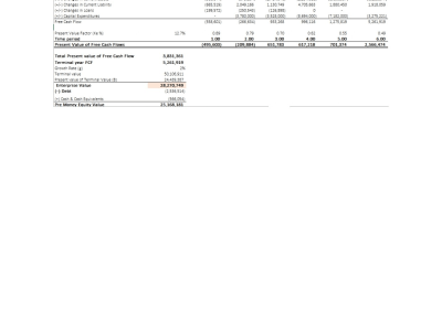 Investor-ready Financial Model and Valuation for fund raising/ M&A