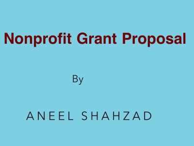Expert nonprofit grant proposal