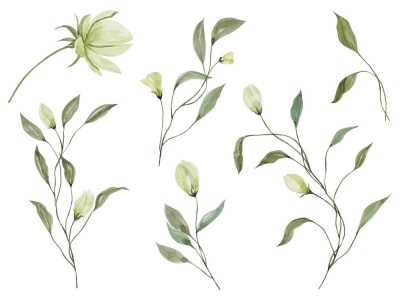 A set of soft white watercolor leaves and flower vector