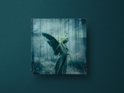 Professional looking Album Cover for your music in 48h