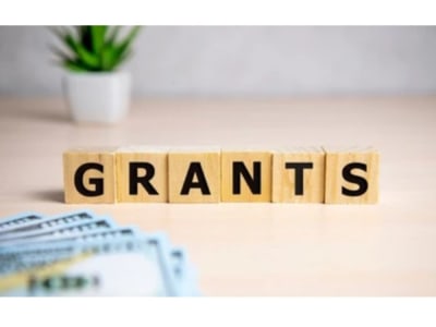 A well-written, compelling grant application for your selected foundation.