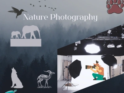 A gorgeous wildlife and nature photography 🐾