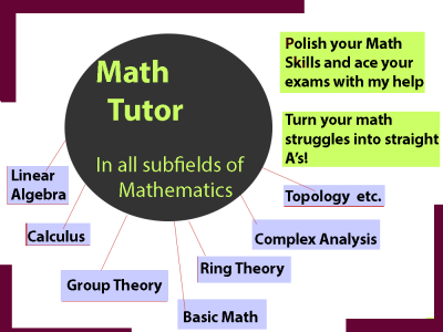 An Experienced Mathematics Tutor