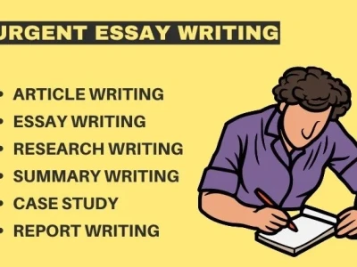 Urgent essay writing, article, case study, research and summary writing