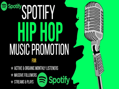 Organic Spotify music promotion and playlist curators