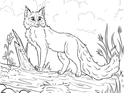 A beautiful illustration coloring with animals