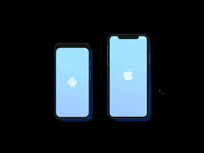 A Professional Mobile App Development iOS/Android