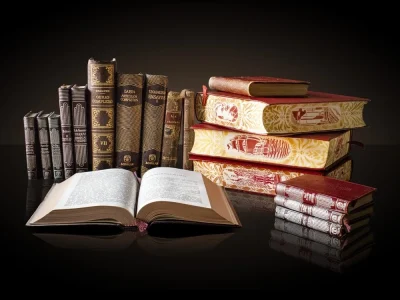 Professional translation for spanish, english and dutch.