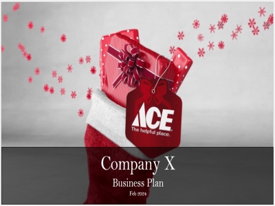 An Ace Hardware Franchise Business Plan