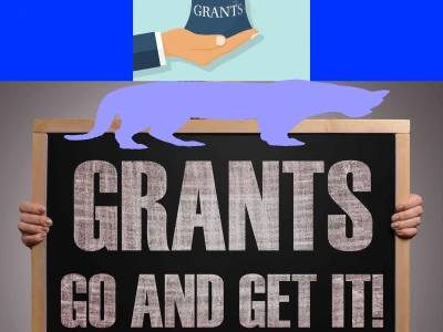 A meticulously crafted Grant proposal to maximize your chances of funding