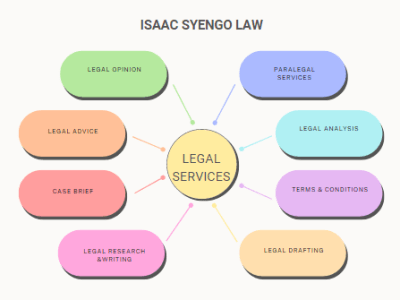 Well-drafted legal documents from a practicing lawyer