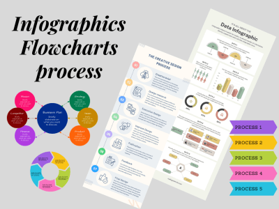 Professional eye catching Infographics and Flowcharts