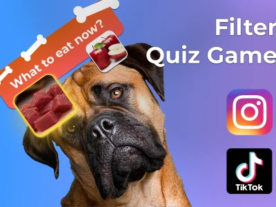 TikTok Effect House Quiz Game Filter