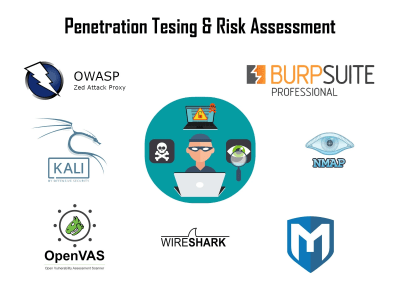 A professional penetration testing and risk assessment report
