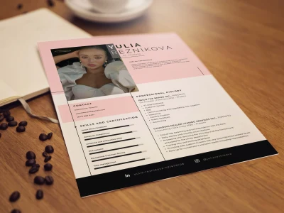 Professional resume template adjusted by your content