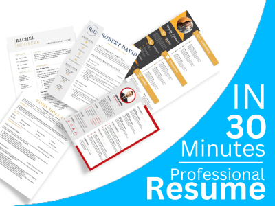 Minimalist professional google docs resume templates