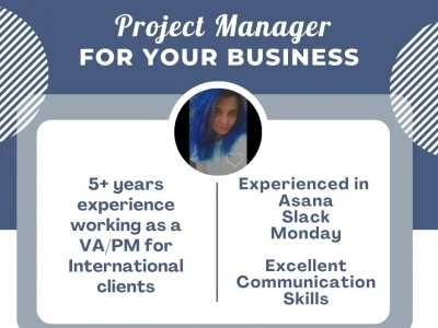 Professional Project Manager and team manager for your agency