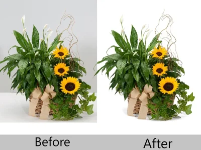 Background Removal Services for all types of Photo