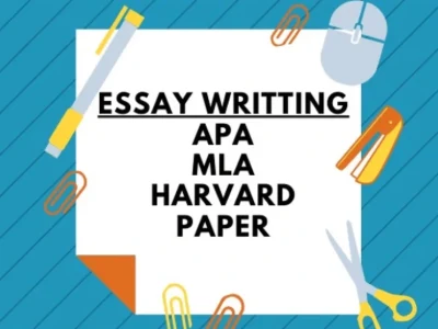 APA, MLA, and Harvard essay within 24 hours