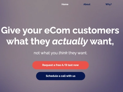 A landing page made by an actual professional copywriter