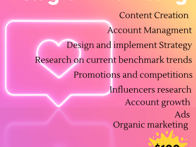 Expert Instagram Marketing Services