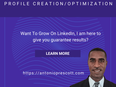 Fully Optimized LinkedIn Profile / Content & Leads Strategies