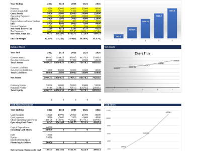 Financial Projections and Financial Models with attractive graphs