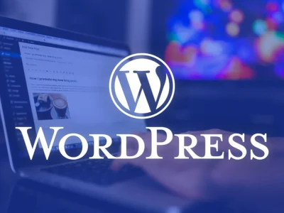 Senior WordPress Developer | WordPress Designer & WordPress  Specialist