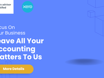 Bookkeeping on Xero for Small or Medium Businesses /Start-ups?