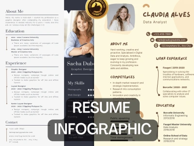 A professional Resume Infographic.